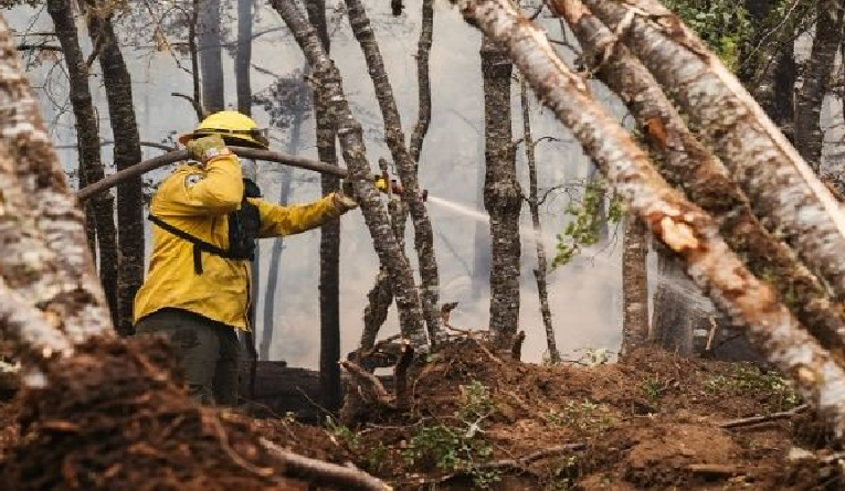 Incendio forestal deja 8 mil hectáreas afectadas en Argentina