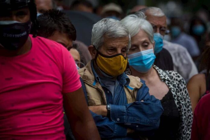 “El ajo es el hipertensivo de los adultos mayores en Venezuela”
