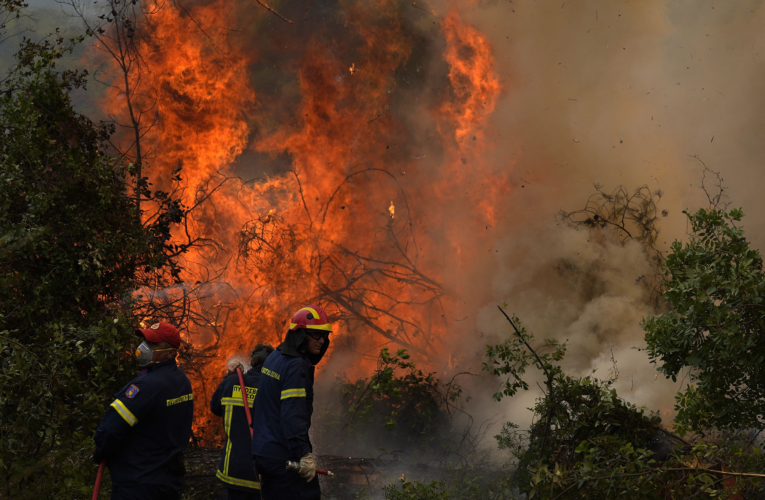 Unión Europea apoya a combatir los incendios en Chile