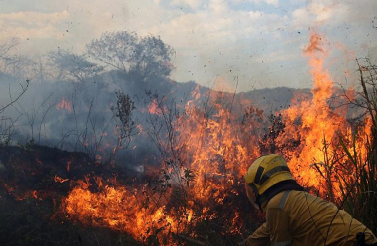 Sofocan varios incendios en Caracas y en 5 regiones