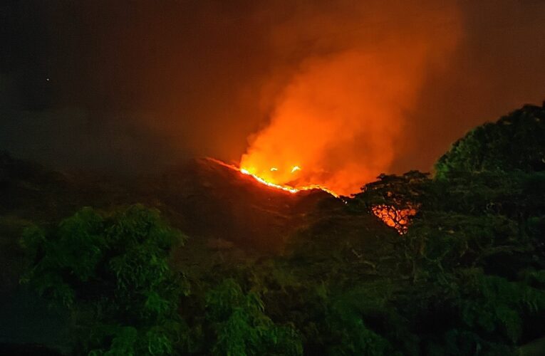 Fuego arrasó con 120 hectáreas del parque Henri Pittier