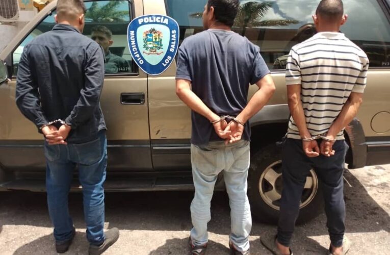 Tres sujetos trataron de secuestrar a una adolescente en los Altos Mirandinos