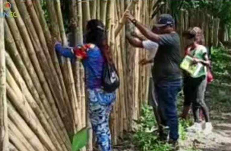 Minec derribó cerca perimetral hecha con bambú en Caruao