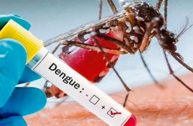 Vector repotenciado multiplica el dengue