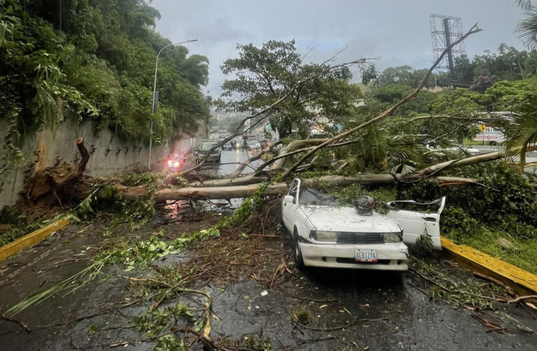 Un fallecido y decenas de árboles caídos dejaron vientos huracanados en Caracas