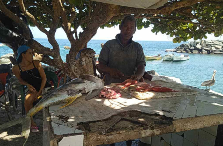Pescadores de Macuto lanzan sus desperdicios a la playa