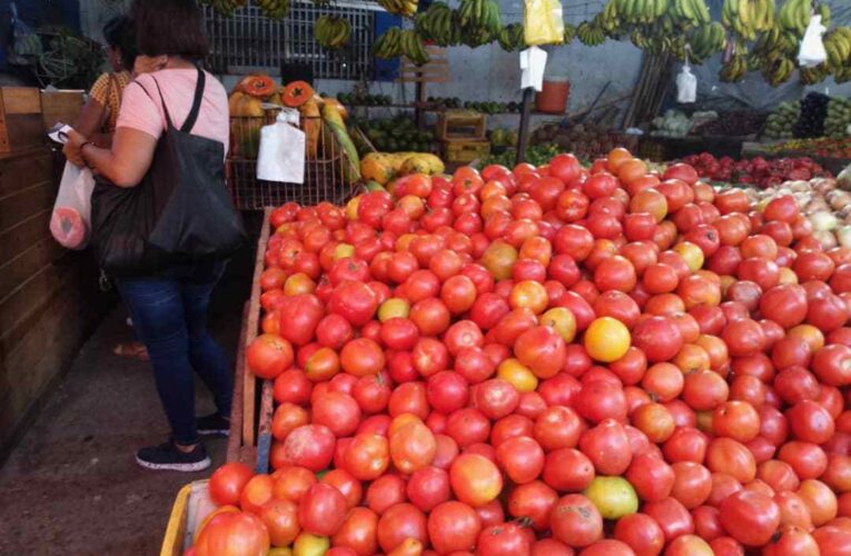 Fuertes lluvias en el interior del país disparan el precio del tomate