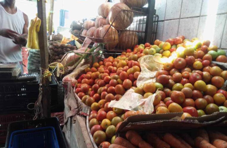 A Bs.120 o $3,70 subió precio del tomate en la feria de Maiquetía