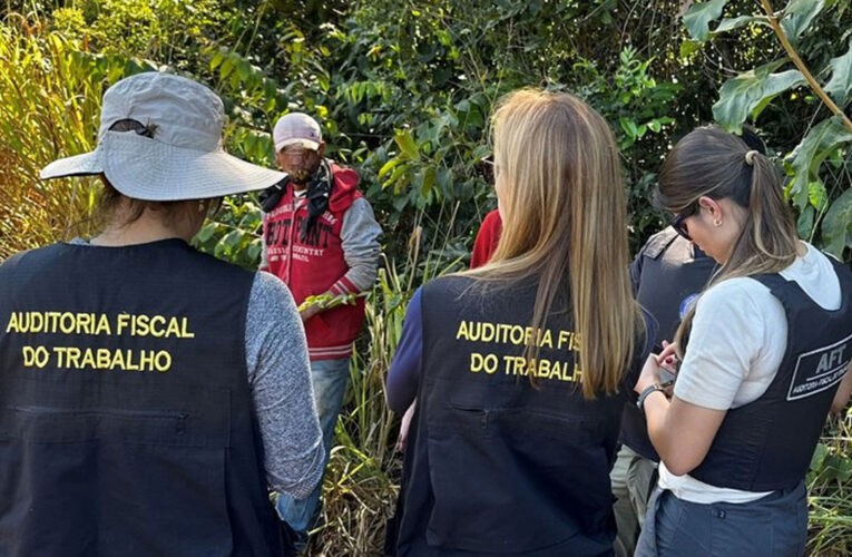 Rescatan en Brasil a 225 personas que trabajaban como esclavas
