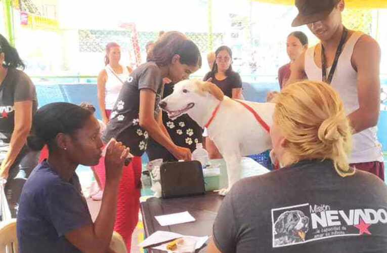 Misión Nevado atendió 90 mascotas en Mirabal