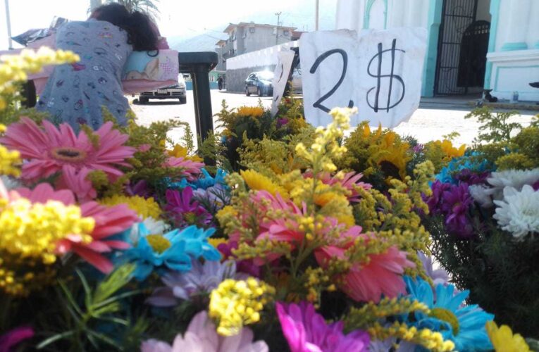 Desde $2 se consiguen las flores en el Cementerio de Pariata