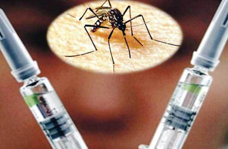 Vacunas contra el dengue y la malaria reciben espaldarazo de la OMS