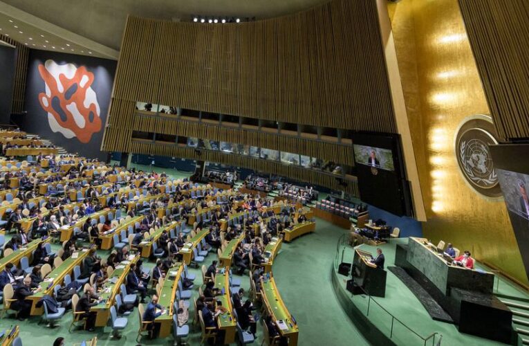 Rusia se queda fuera del Consejo de Derechos Humanos de la ONU