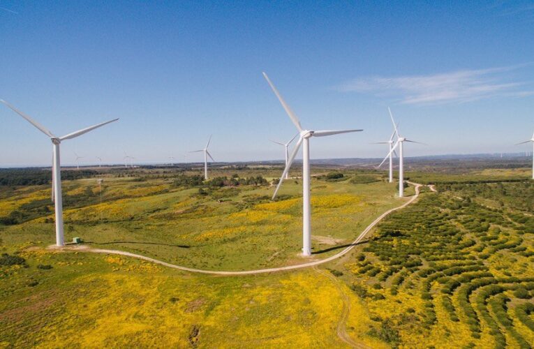 Portugal es el primer país en lograr funcionar por 6 días consecutivos con energías 100% renovables