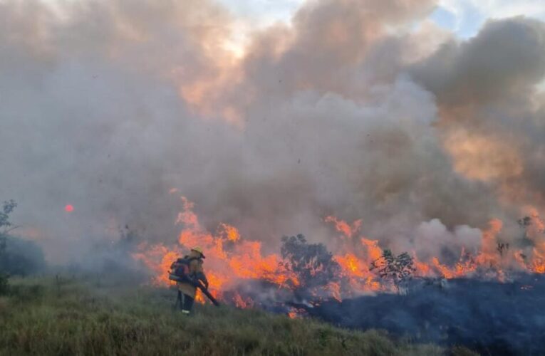 21 los incendios forestales en Colombia en medio de récords de calor