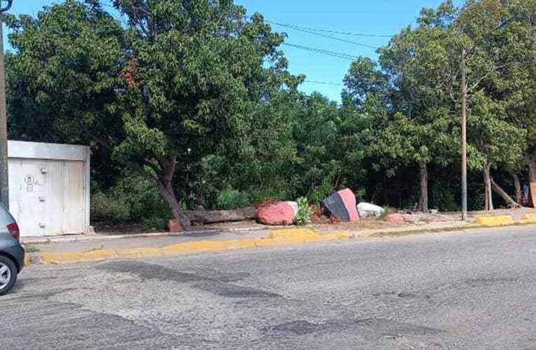 Vecinos del urbanismo Guaicamacuto piden limpieza de El Ceibo