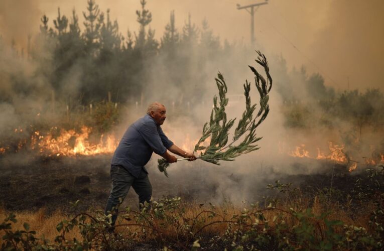 Duelo nacional en Chile por incendios forestales
