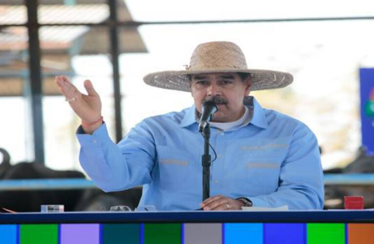 Maduro asegura que van 14 trimestres de crecimiento en la producción agrícola