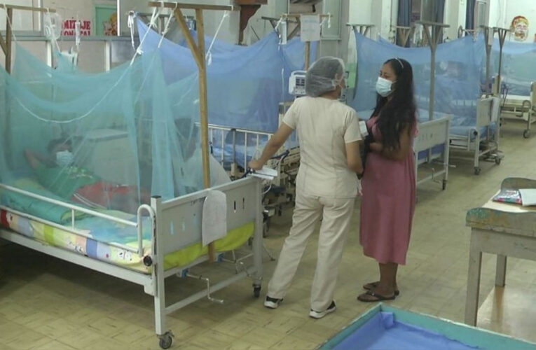 Emergencia en Perú: 28 muertos y 24.981 casos oficiales del dengue 