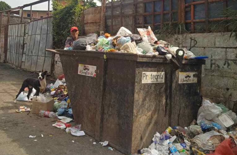 Invasión de gusanos en San Julián por la falta de recolección de basura