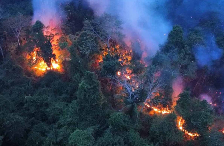 Alerta en Brasil, Bolivia y Venezuela por emisiones contaminantes de incendios