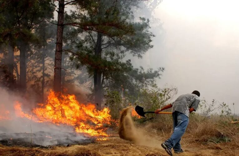 Exigen atender incendios forestales en Uverito