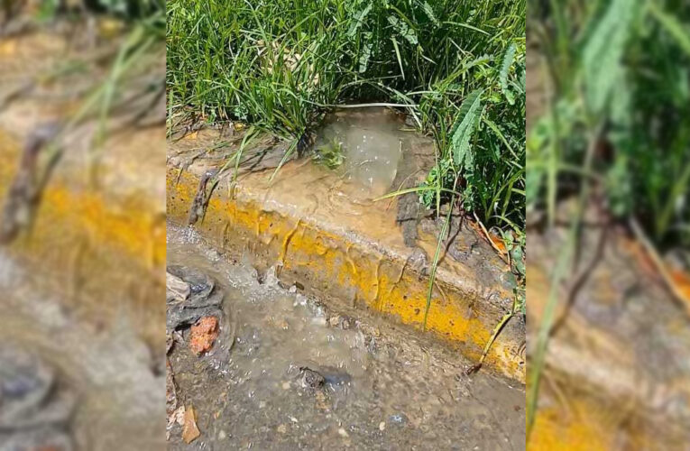 Bote de aguas servidas perjudica a vecinos de la avenida Guaiquerí