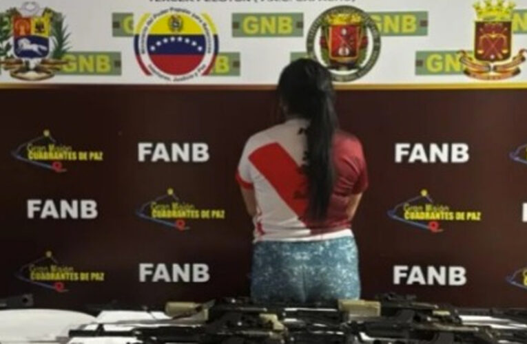 Cae mujer que traía 8 armas de fuego desde Perú