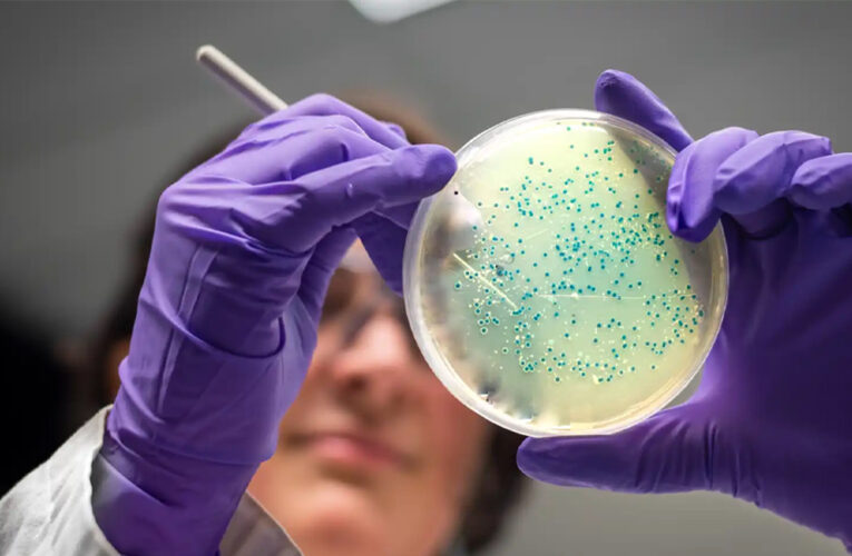 Nuevo antibiótico efectivo contra superbacterias