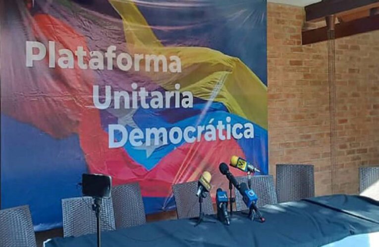 Plataforma Unitaria Democrática no realizó movilizaciones