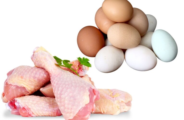 Consumo per cápita de pollo hasta mayo fue de 17,60 kilos