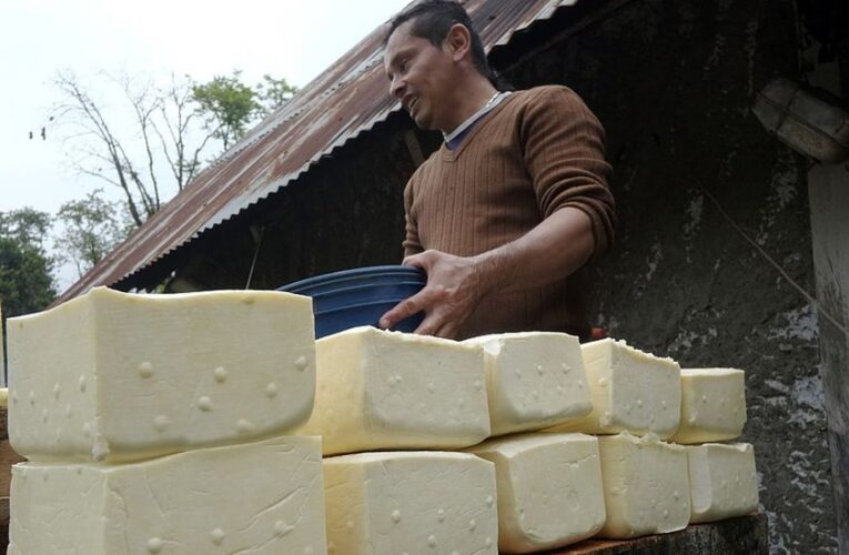 Productores de leche y quesos con dificultades por falta de transporte