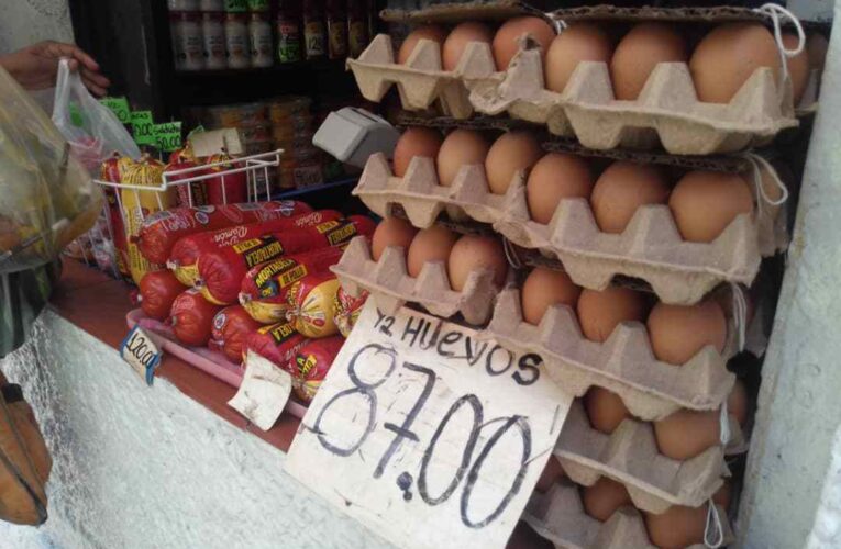 Bs.87=$2,40 cuesta el medio cartón de huevos en Maiquetía