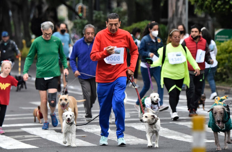 El 28 de septiembre llega la primera carrera-caminata canina