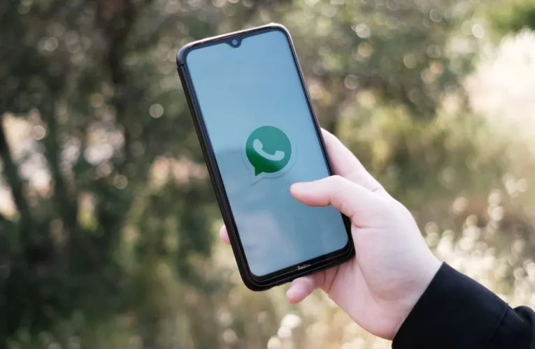 Realiza este ajuste para que WhatsApp deje de ocupar espacio en el móvil