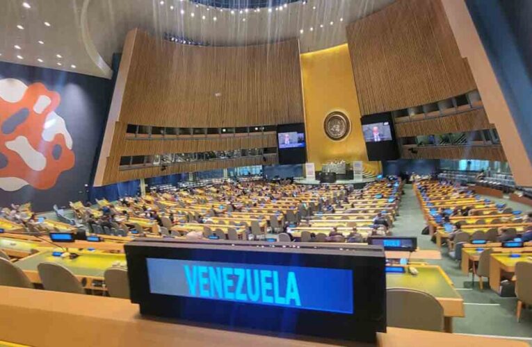 Informe de la ONU señala falta de transparencia en las elecciones