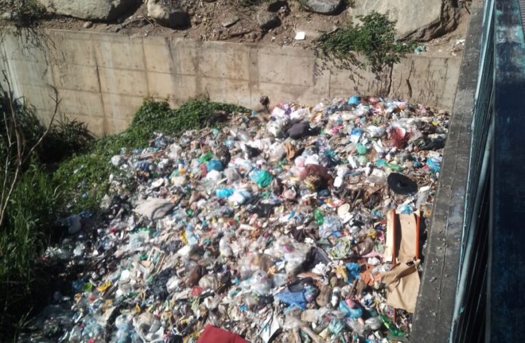 ¡Urgente! Hay que limpiar debajo del puente de Vía Eterna