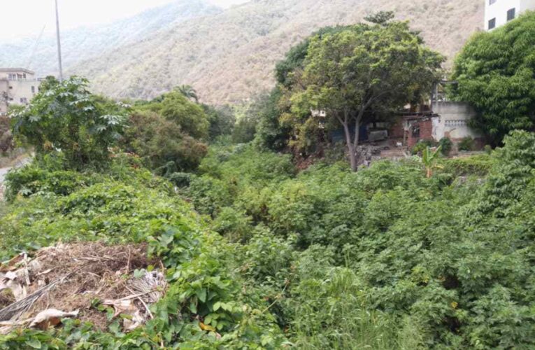 Limpieza del río Cerro Grande de Tanaguarena piden los vecinos