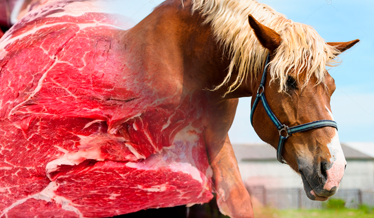 Roban y luego sacrifican a los caballos en Aragua