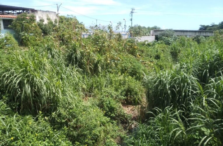 Quebrada La Veguita repleta de basura y escombros