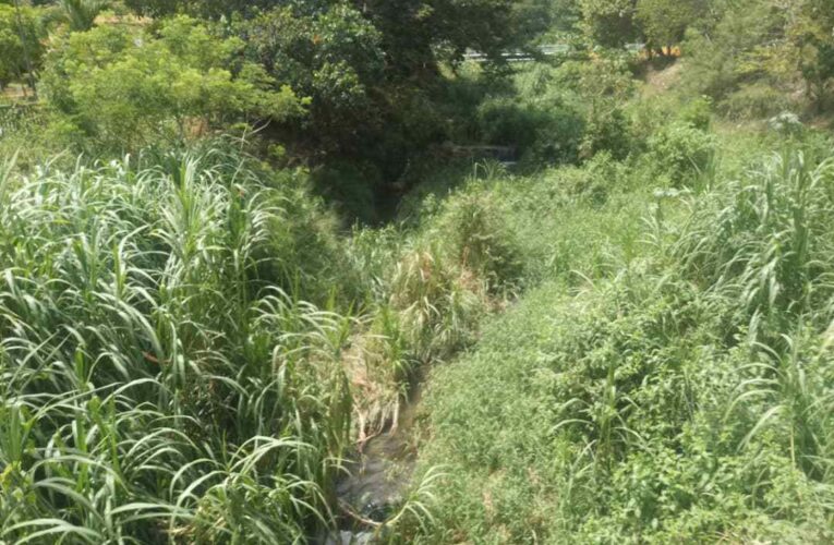 Piden desmalezar el río La Veguita