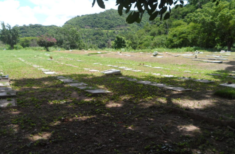 ¿Deben los niños ir a un funeral?