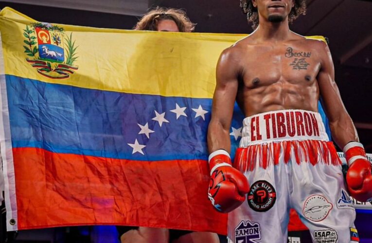 Tiburón Blanco buscará hoy mantener su invicto en Miami