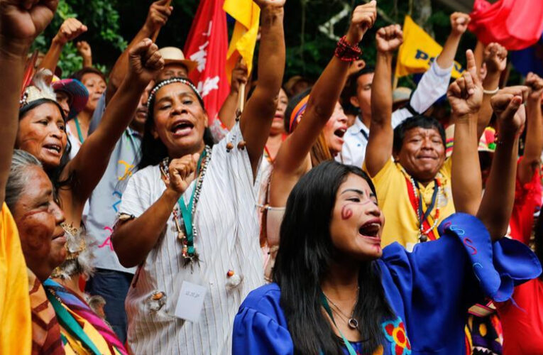 Psuvistas marcharán este sábado por el Día de la Resistencia Indígena