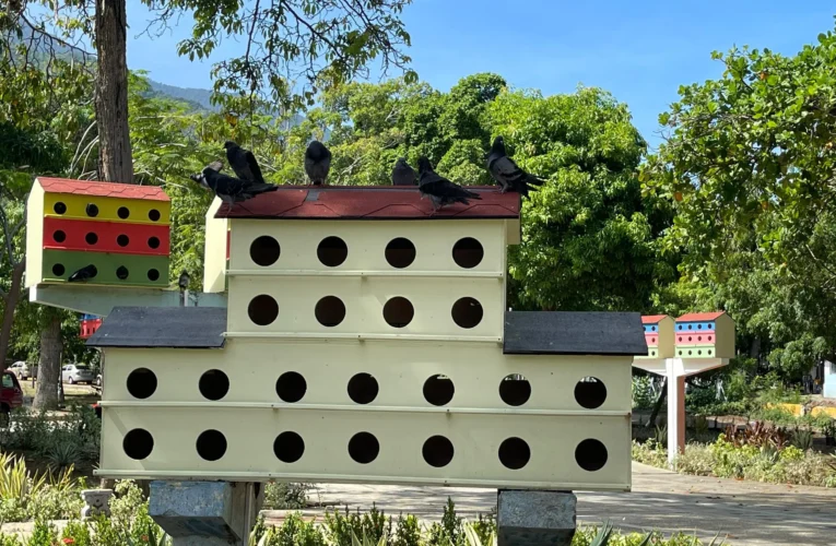 Casas dignas para las palomas