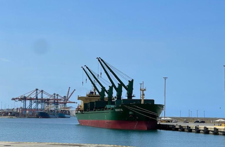 Están llegando los frutos secos y panetones a nuestro puerto