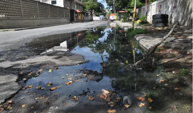 6 casos diarios de dengue llegan a las consultas médicas