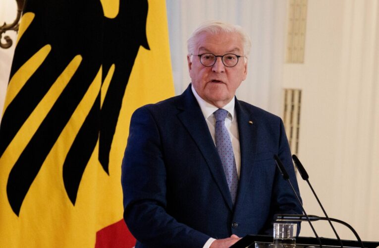 Presidente de Alemania disolvió el parlamento y convocó elecciones anticipadas