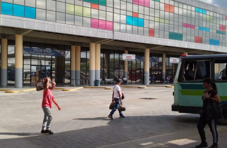 Denuncian envenenamiento de gatos en el terminal de Catia la Mar