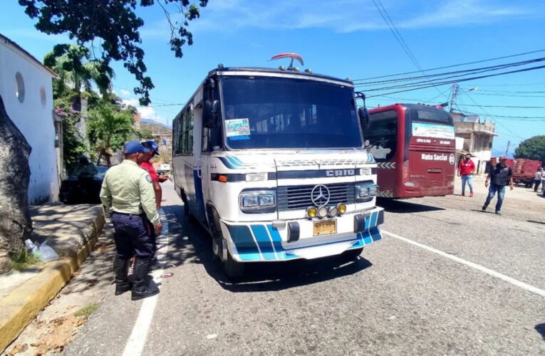 Sector transporte garantiza movilidad en diciembre